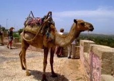 bun venit Ã®n Maroc