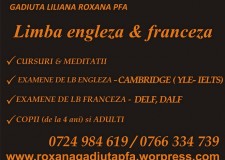 Cursuri,meditatii Limba Engleza si Franceza