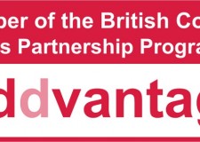 Cursuri de limbi straine