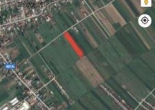 Oferta Vand Teren intravilan Ilfov Ciorogarla Domnesti