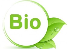 Oportunitate si castiguri cu Life-Care