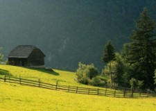 Teren Intravilan Vidra Ilfov