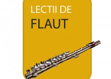 Lectii de muzica pentru toate varstele la Boem Club