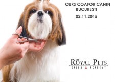 Curs Autorizat Coafor Canin