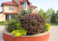 Vand proprietate de lux Corbeanca