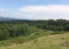 Vand urgent pamant intravilan in Sat Ceisoara jud Bihor