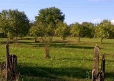 Vand teren - amplasare atractiva la un pret bun