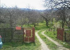 Teren livada 3139mp comuna Voinesti, sat Oncesti-Gemenea, jud. Dambovita