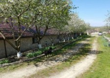 Menajera interna, angajam Otopeni