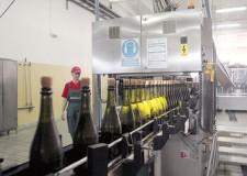 Cautam personal fabrica de vin