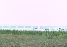 Teren de vanzare Dascalu-Eltrix