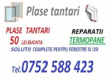 Plase tantari / Reparatii termopane