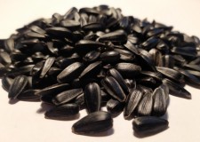 Seminte mari de floarea soarelui pentru ambalat