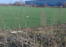 Vanzare Teren Industrial Buftea 7500 Mp