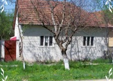 Casa  com Brazii jud Arad  cu piscina linga riu