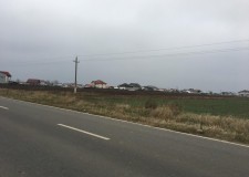 Cernica â€“ Balaceanca â€“ 6300 mp Intravilan