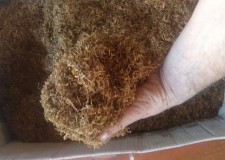 Tutun taiat firicel 04 mm