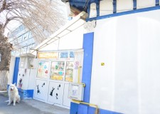 Vand casa + hala langa Piata Obor