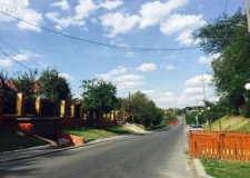 Teren de vanzare Balotesti-Privighetorilor