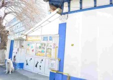 Singurul teren+casa+hala de vanzare de langa Piata Obor, 415/145/128 mp !