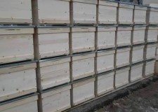 Stupi, lÄƒzi, albine