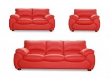 Seturi canapele si fotolii