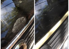 Polish/Servicii detailing auto