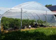 Sere Profesionale cu folie si polycarbonat