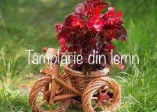 Suport flori Bicicleta si tractor rustice, din rachita