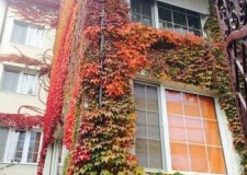 Vand villa spatioasa si luminoasa Herastrau/Aviatiei