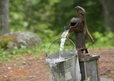 Foraje puturi ieftine