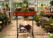 Suporturi metalice pentru ghivece, stative pentru flori