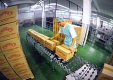 Angajam personal fabrica napolitane Olanda