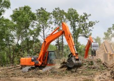 Servicii defrisare, toaletare si curatare