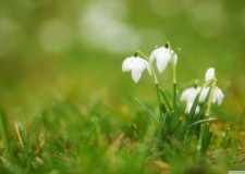 Castiguri din prima luna! 100-285 de euro lunar!