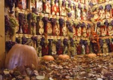 Angajam personal pentru fabrica de conserve