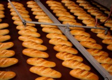 Angajez muncitori in panificatie