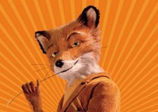 Fatrichfox etnobotanice