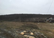 Vand 11000m2 teren Carlig ,Iasi , utilitati in zona , deschidere mare la strada