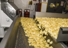 Cautam personal Olanda la fabrica de cipsuri