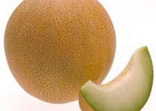 Angajam culegatori pepeni Spania