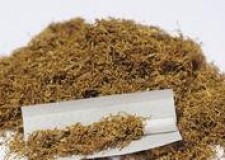 Vand Tutun calitate deosebita