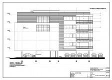 VANZARE TEREN CU AUTORIZATIE - ICOANEI = 315 mp