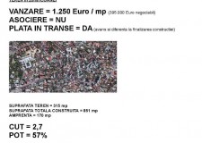 VANZARE TEREN CU AUTORIZATIE - ICOANEI = 315 mp