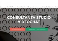 Consultanta Studio Videochat, Consultanta Videochat