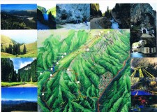 Excursii de o zi pe platoul Bucegilor.