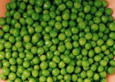 Angajez culegatori mazare