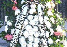 Imprimanta panglica funerara. Imprimanta portabila,compacta