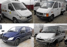 Dezmembrez dube marfa