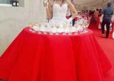 dj botez,dj nunta,fumgreu,lumini ambientale,djieftin